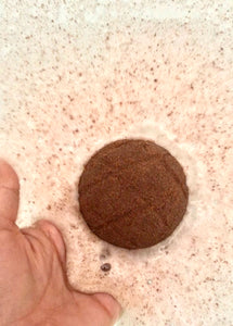 Concha Bath Bomb in Choco Coco